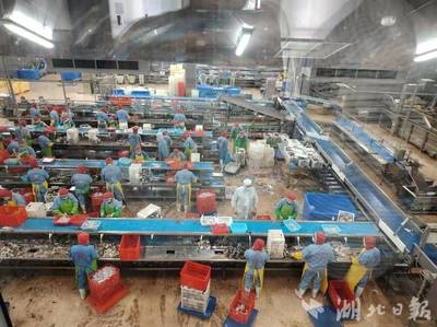 新理念、新模式、新產業--嘉魚縣水產養殖轉型升級創新模式